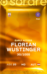 Florian Wustinger - limited