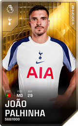 João Palhinha - limited