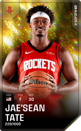 Jae'Sean Tate - limited