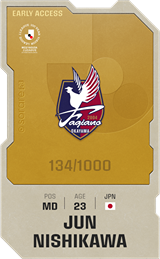 Jun Nishikawa - limited