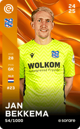 Jan Bekkema - limited