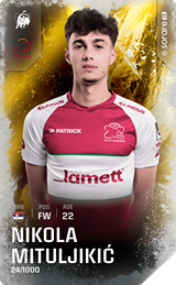 Nikola Mituljikić - limited