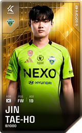 Jin Tae-Ho - limited