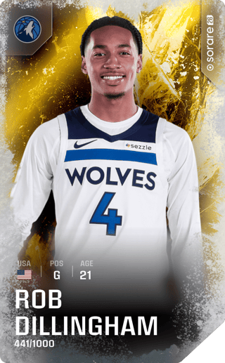 Rob Dillingham - limited