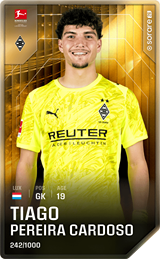 Tiago Pereira Cardoso - limited