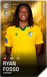 Ryan Fosso - limited