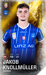 Jakob Knollmüller - limited