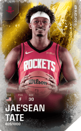 Jae'Sean Tate - limited