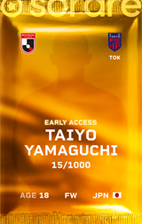 Taiyo Yamaguchi - limited