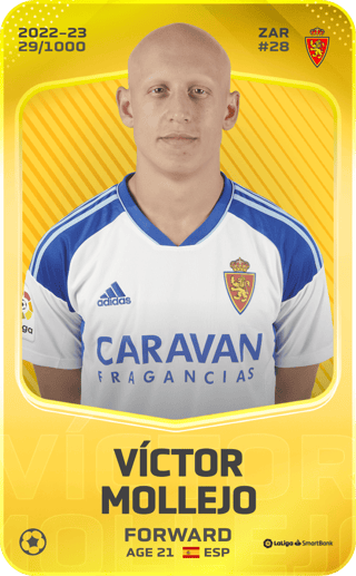 victor-mollejo-carpintero-2022-limited-29