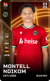 Montell Ndikom - limited