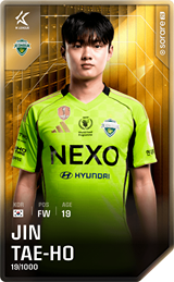 Jin Tae-Ho - limited