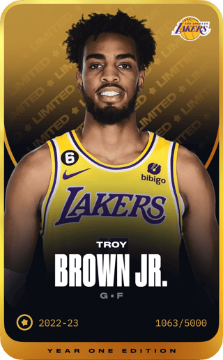Troy Brown Jr. - limited