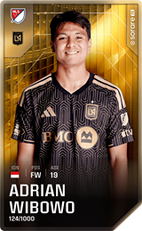 Adrian Wibowo - limited