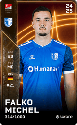Falko Michel - limited