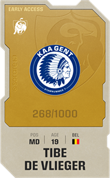 Tibe De Vlieger - limited