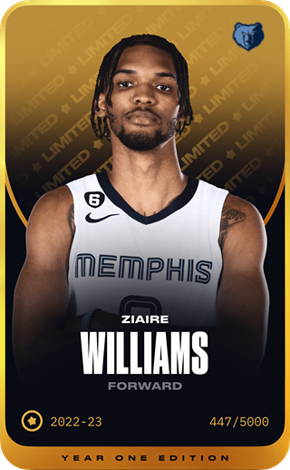 Ziaire Williams - limited