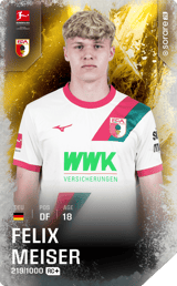 Felix Meiser - limited