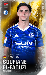 Soufian El-Faouzi - limited