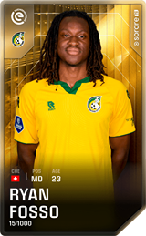 Ryan Fosso - limited
