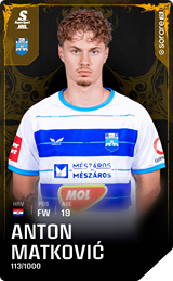 Anton Matković - limited