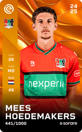 Mees Hoedemakers - limited