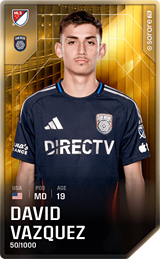 David Vazquez - limited