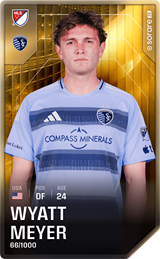 Wyatt Meyer - limited