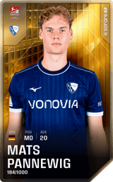 Mats Pannewig - limited