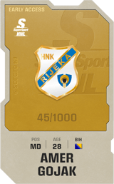 Amer Gojak - limited