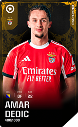 Amar Dedić - limited