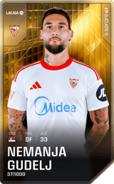 Nemanja Gudelj - limited