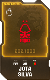 Jota Silva - limited