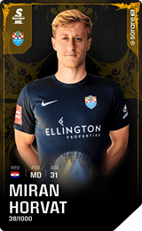 Miran Horvat - limited