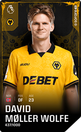 David Møller Wolfe - limited