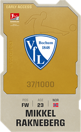 Mikkel Rakneberg - limited