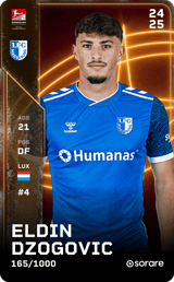 Eldin Dzogovic - limited