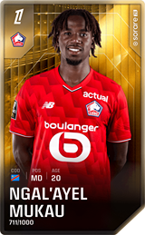 Ngal'ayel Mukau - limited