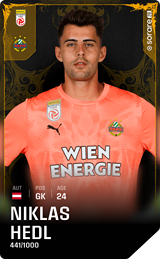Niklas Hedl - limited