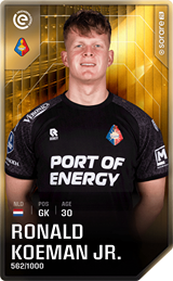 Ronald Koeman - limited