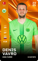 Denis Vavro - limited
