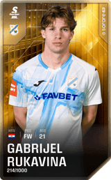 Gabrijel Rukavina - limited