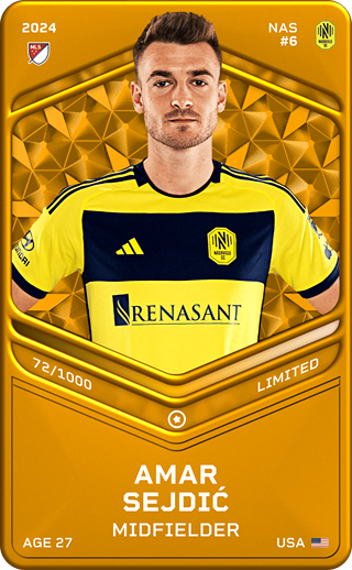 Amar Sejdić - limited