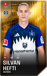 Silvan Hefti - limited