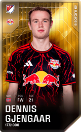 Dennis Gjengaar - limited