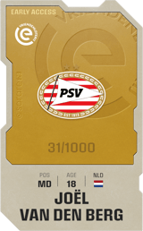 Joël van den Berg - limited
