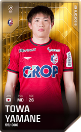 Towa Yamane - limited