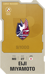 Eiji Miyamoto - limited