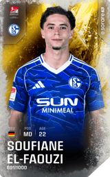 Soufian El-Faouzi - limited