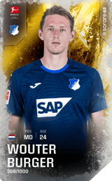 Wouter Burger - limited